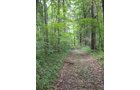 Property photo 30 - 160 Acres Offered in 6 Tracts